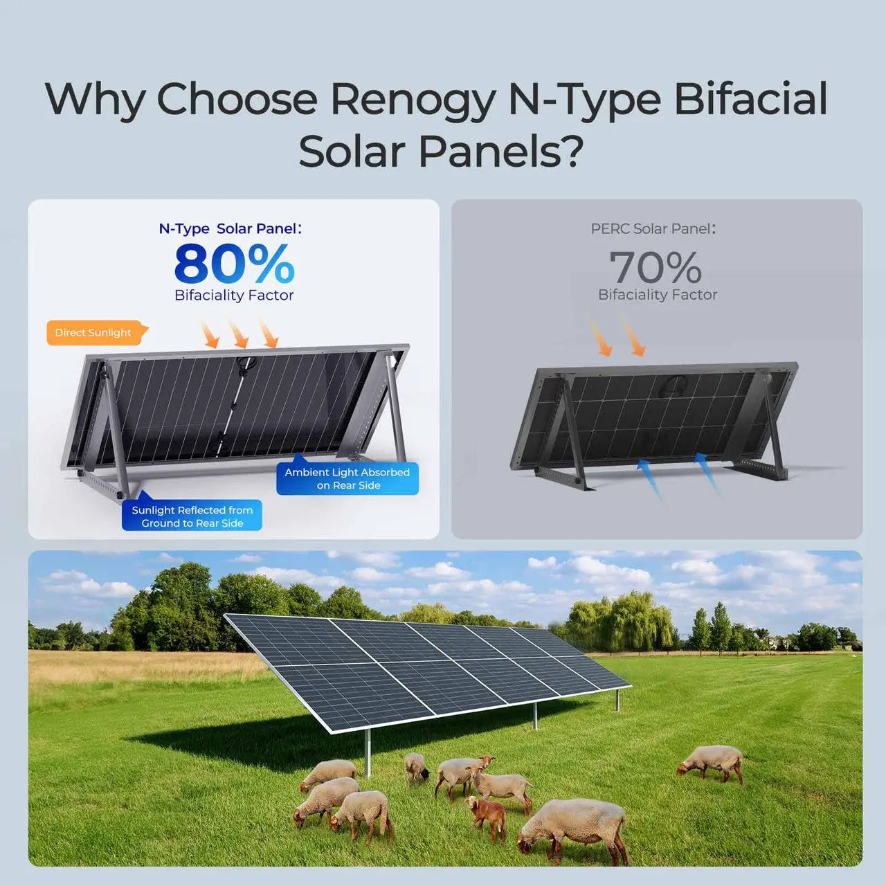 Renogy 590W N-Type Bifacial Solar Panel (2-Pack)