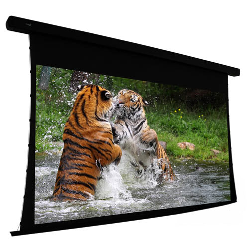 EluneVision 106" Reference Studio 4K Tab-Tensioned 1.0 Gain Projector Screen