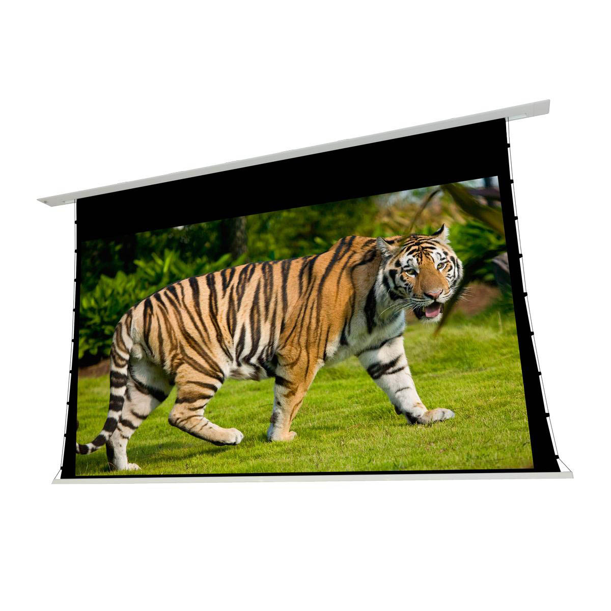 EluneVision 150" Reference Studio 4K+ Tab-Tensioned In-Ceiling Projector Screen